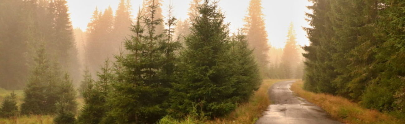 A three-day trek in Šumava