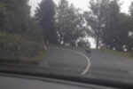 Road in Madeira